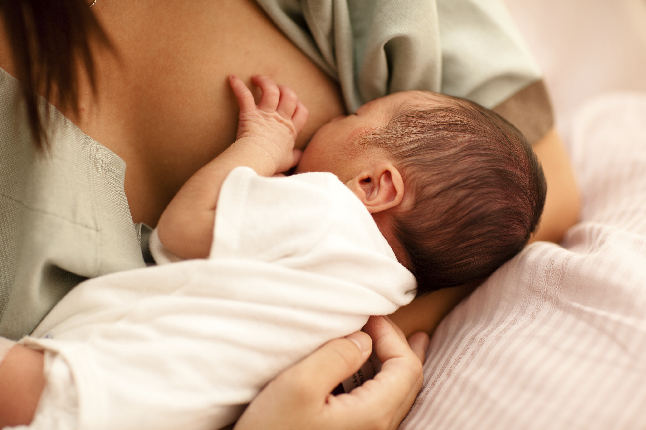 Newborn baby at mother's breast Newborn baby at mother's breast